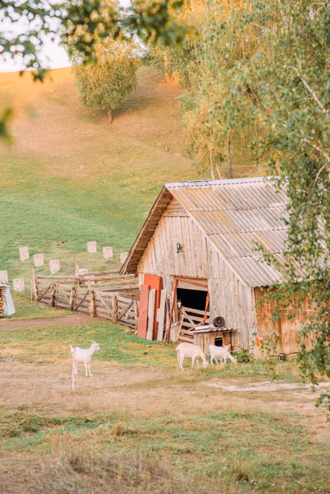 Versicherung für Scheunen brauchen insbesondere bei Strohlagerung besondere Aufmerksamkeit
