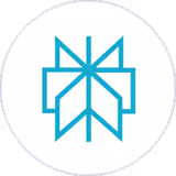 icone - Perplexity logo