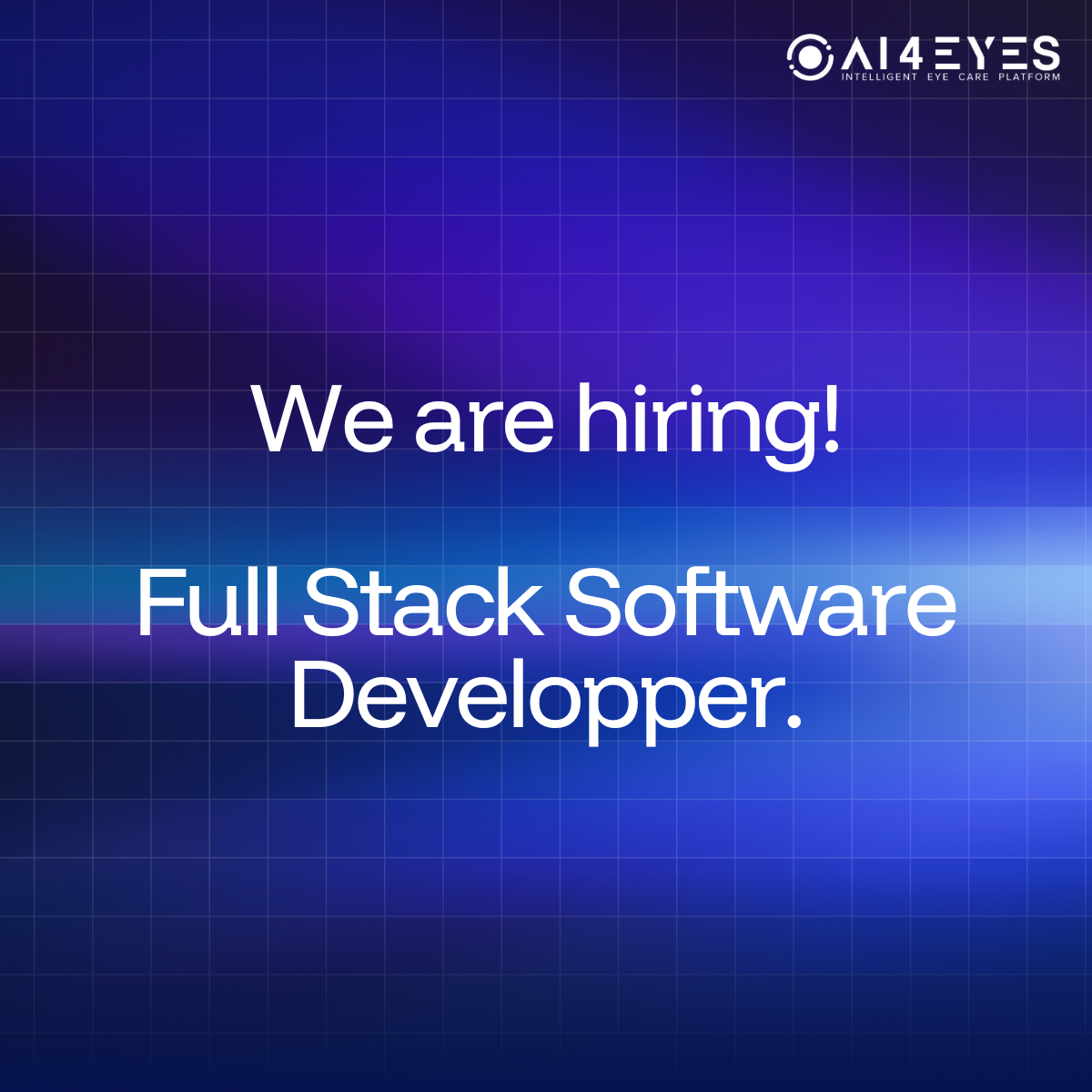 Full Stack Software Developer