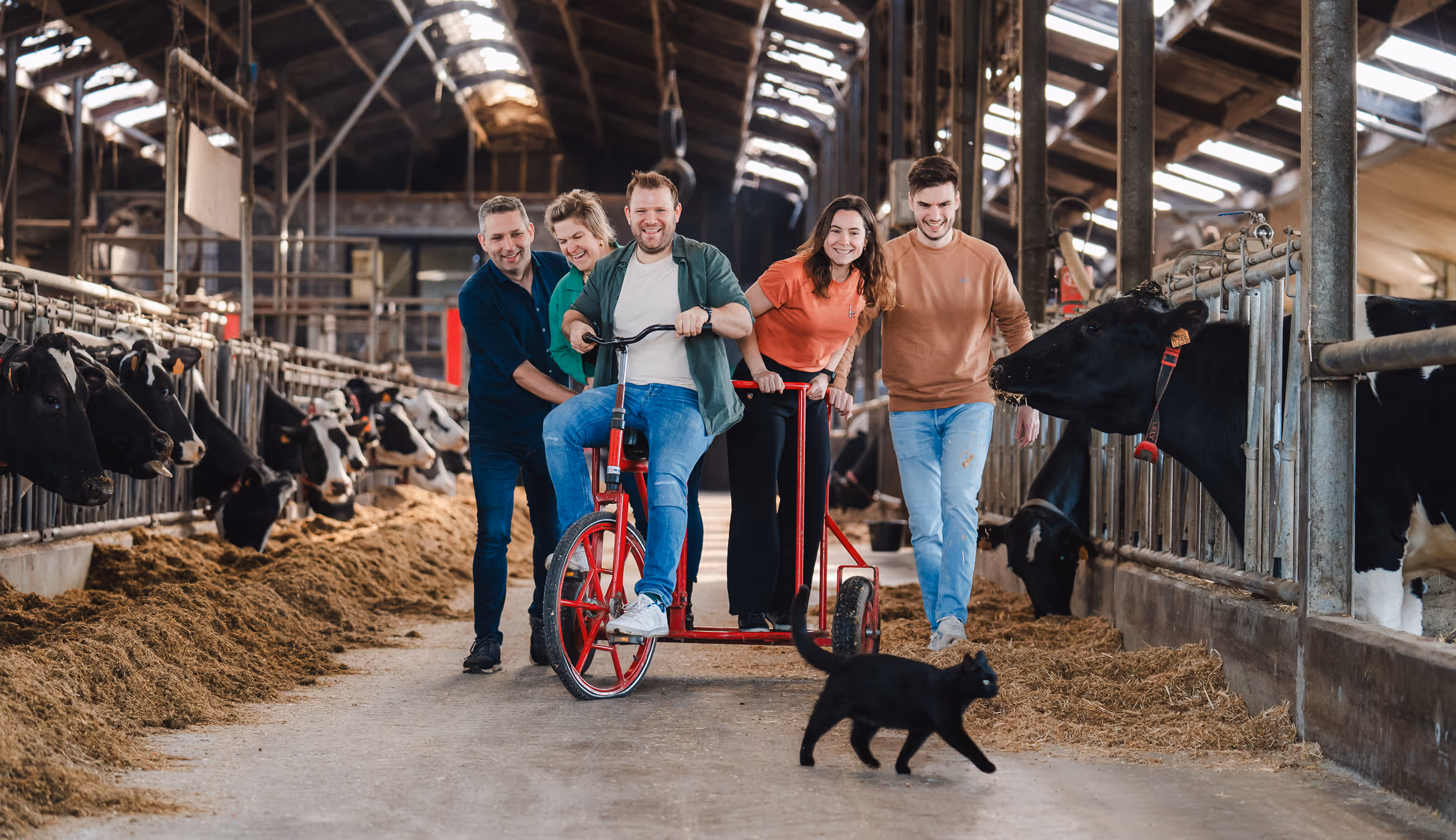 Lachende groep rijdt met een rood voertuig door de koeienstal — teambuilding in volle vaart.