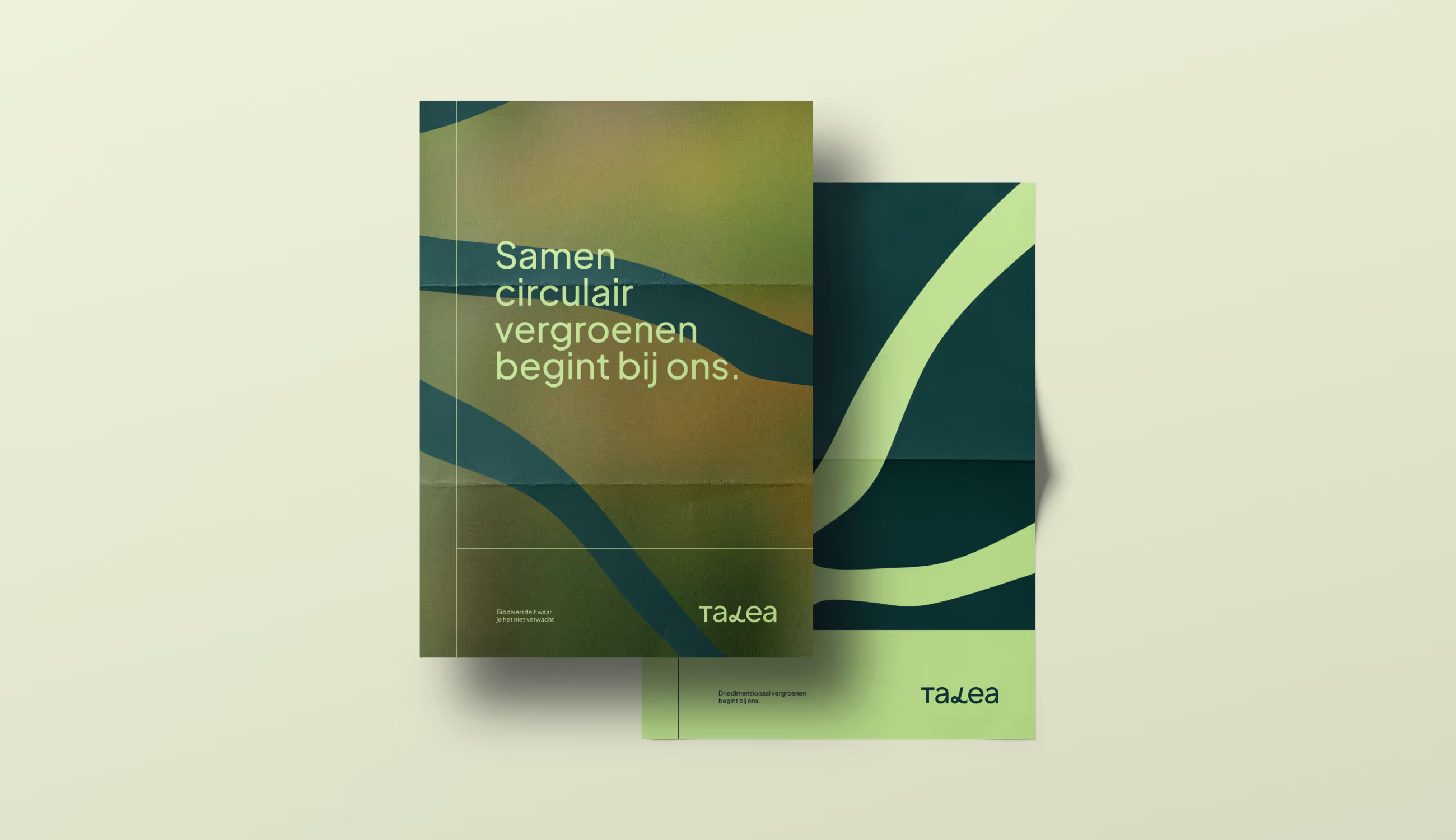 Twee gevouwen posters in Talea-huisstijl met natuurlijke groentinten en de boodschap “Samen circulair vergroenen begint bij ons.”