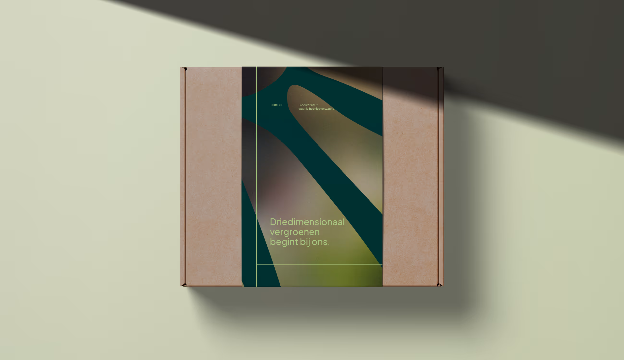 Kartonnen verzenddoos met Talea-brochure bovenop, met de tekst “Driedimensionaal vergroenen begint bij ons.”