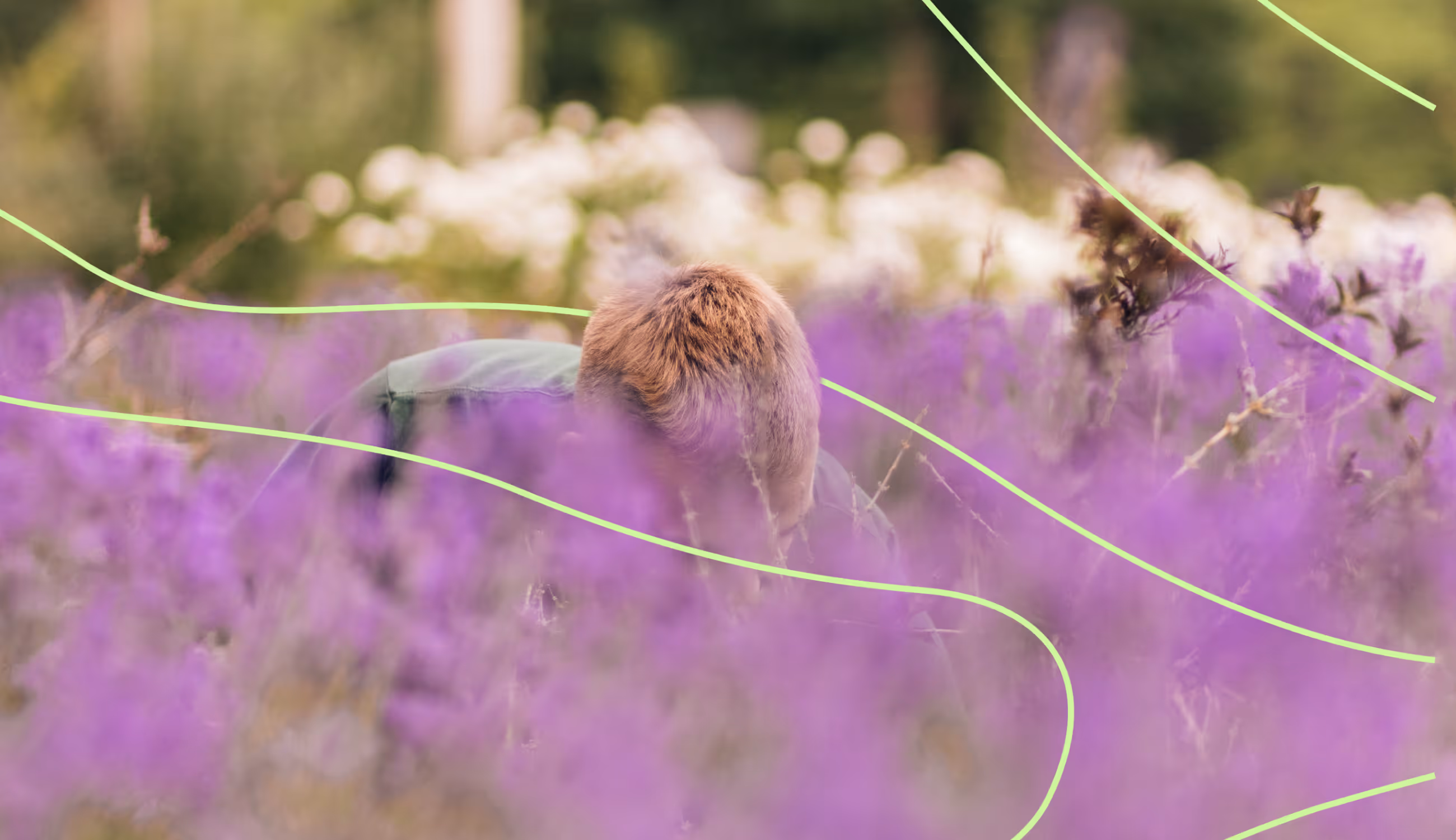 Persoon werkt tussen paarse bloemen, met zachte lijnen in het beeld die beweging en groei symboliseren.