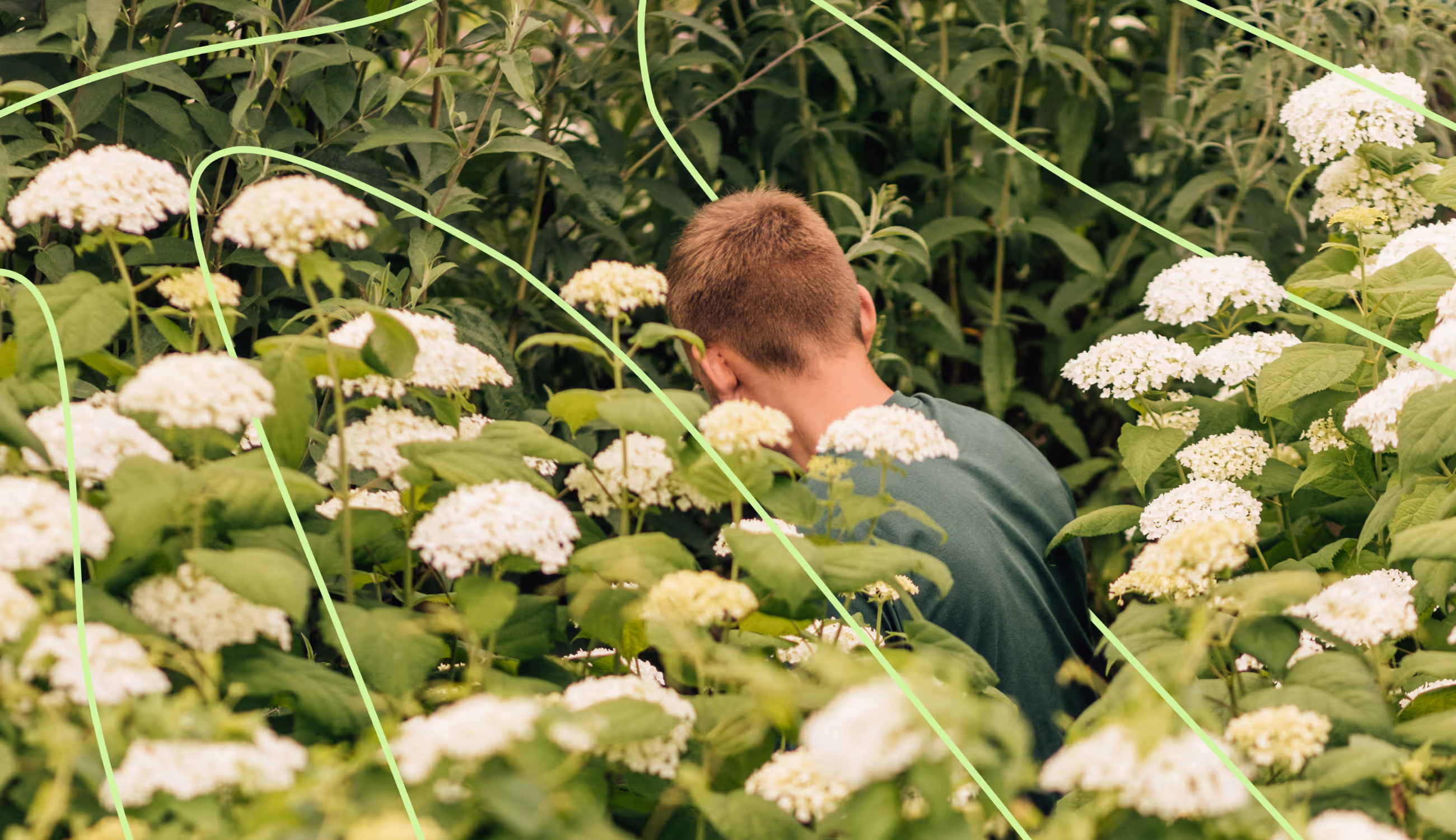 Persoon met kort blond haar werkt tussen witte hortensia’s, met grafische lijnen die natuurlijke groei accentueren.