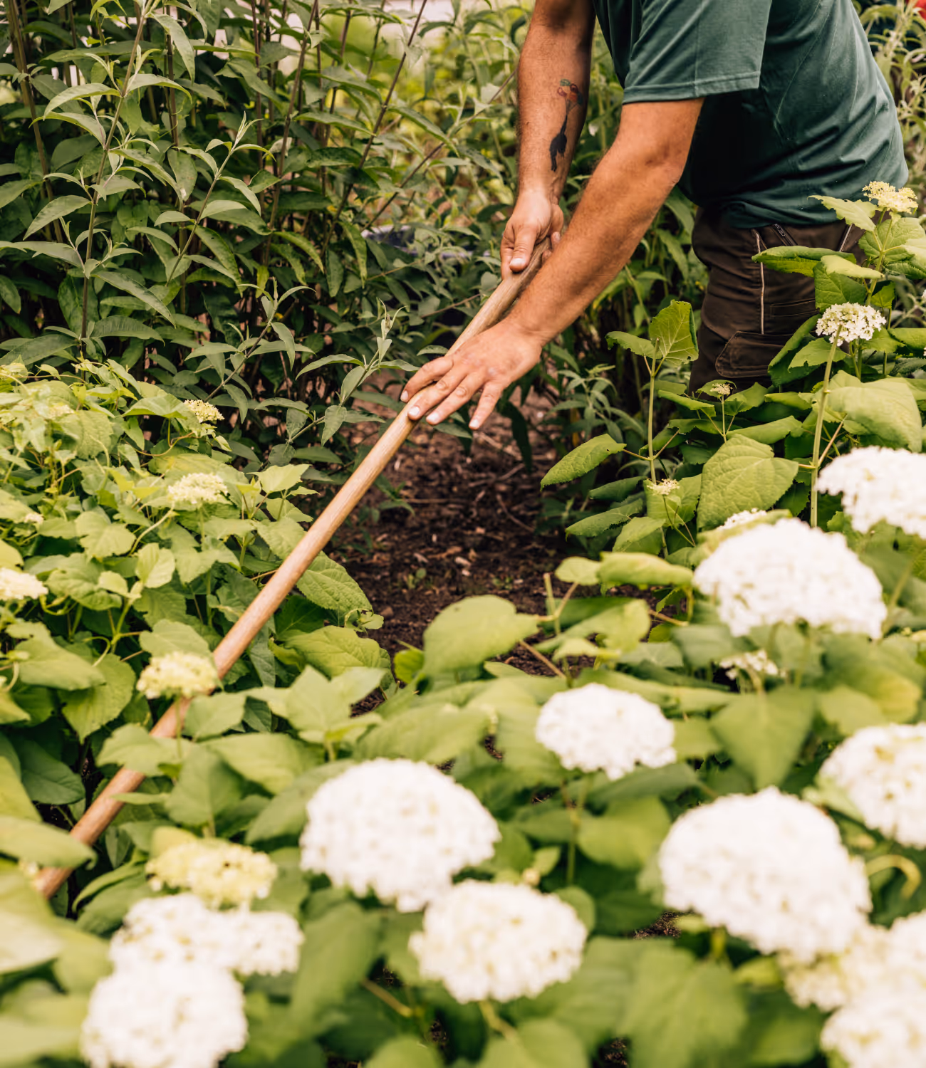 Persoon werkt in een groene tuin, tussen bloeiende planten en struiken, met de nadruk op duurzaam onderhoud.