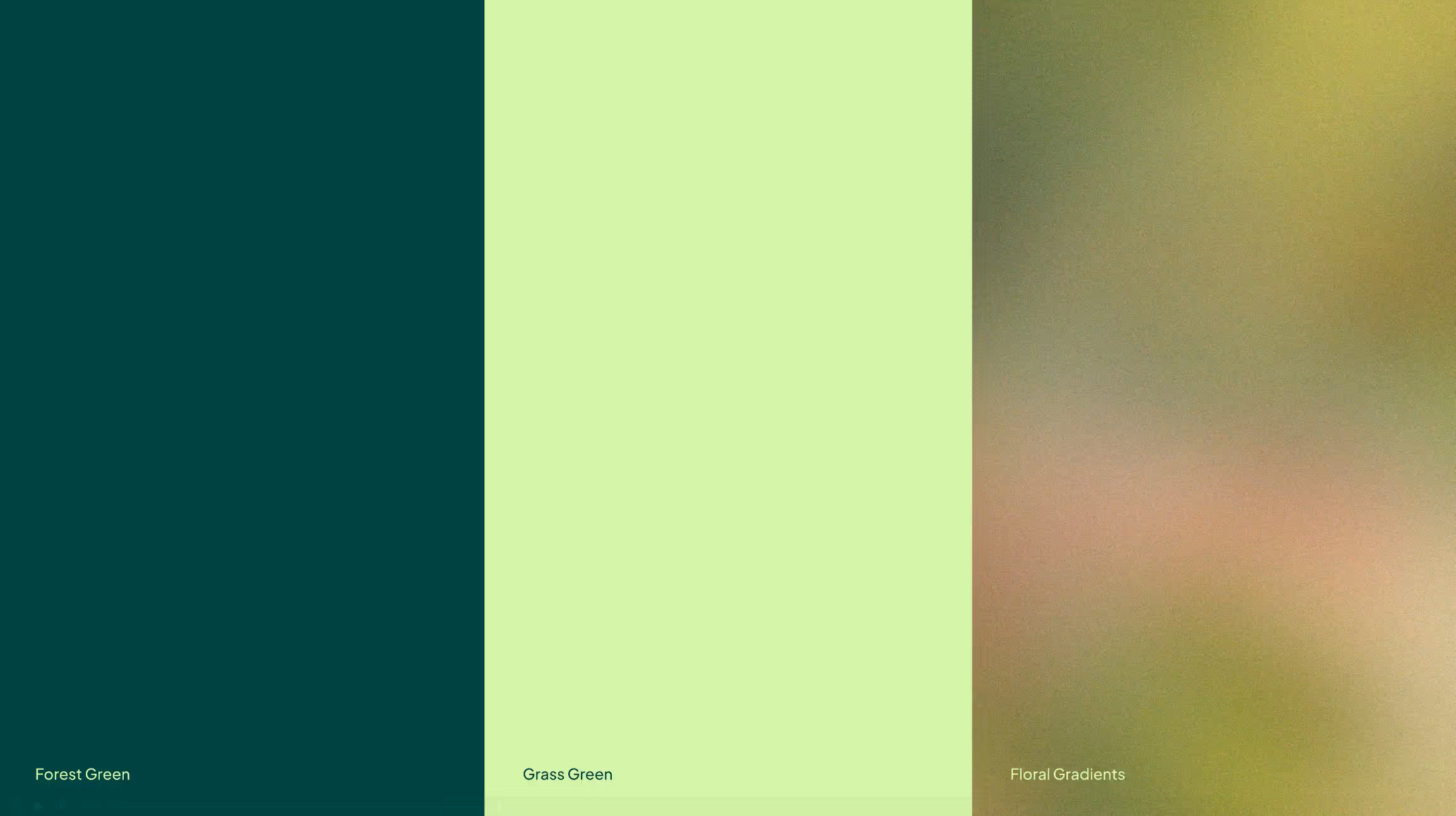 Visuele voorstelling van Talea’s kleurpalet met drie vlakken: diep donkergroen (‘Forest Green’), helder lichtgroen (‘Grass Green’) en een natuurlijke verlooptextuur (‘Floral Gradients’).