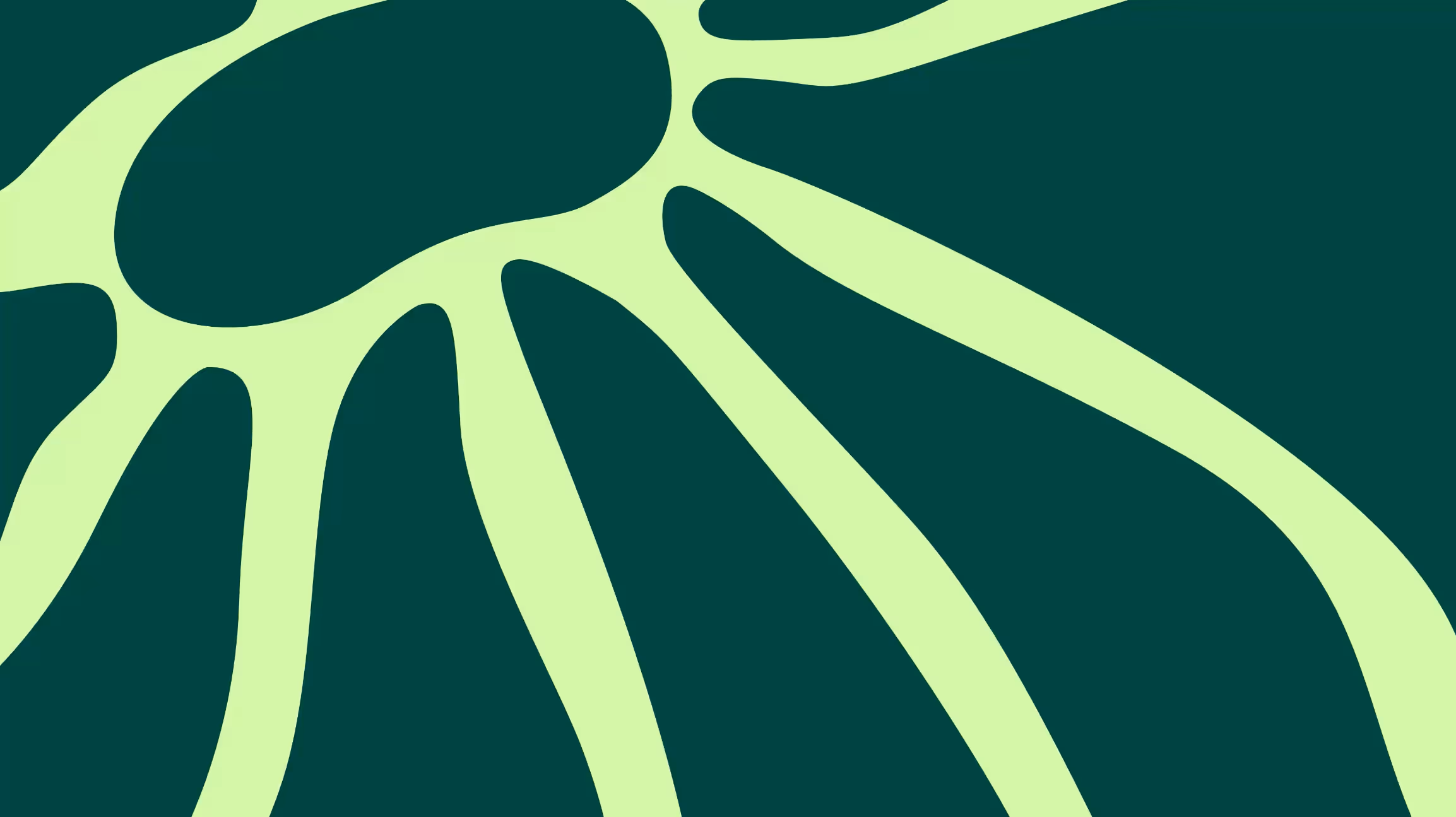 Abstracte grafische compositie van vloeiende, vertakkende lijnen in lichtgroen op een donkergroene achtergrond — een visuele vertaling van groei, verbinding en natuur.