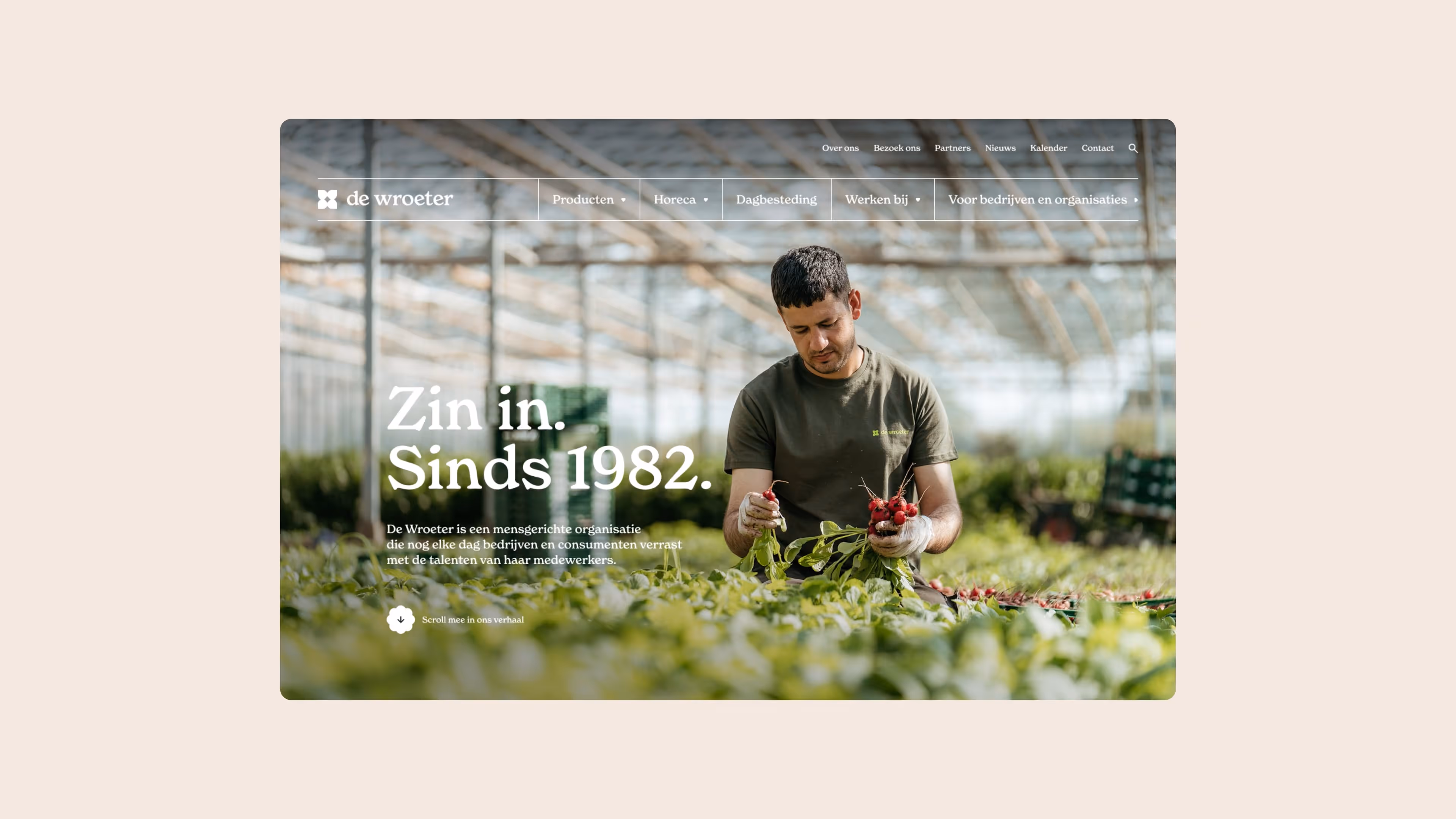 Homepage van De Wroeter met een medewerker die verse groenten oogst in de serre en de merkclaim “Zin in. Sinds 1982.”