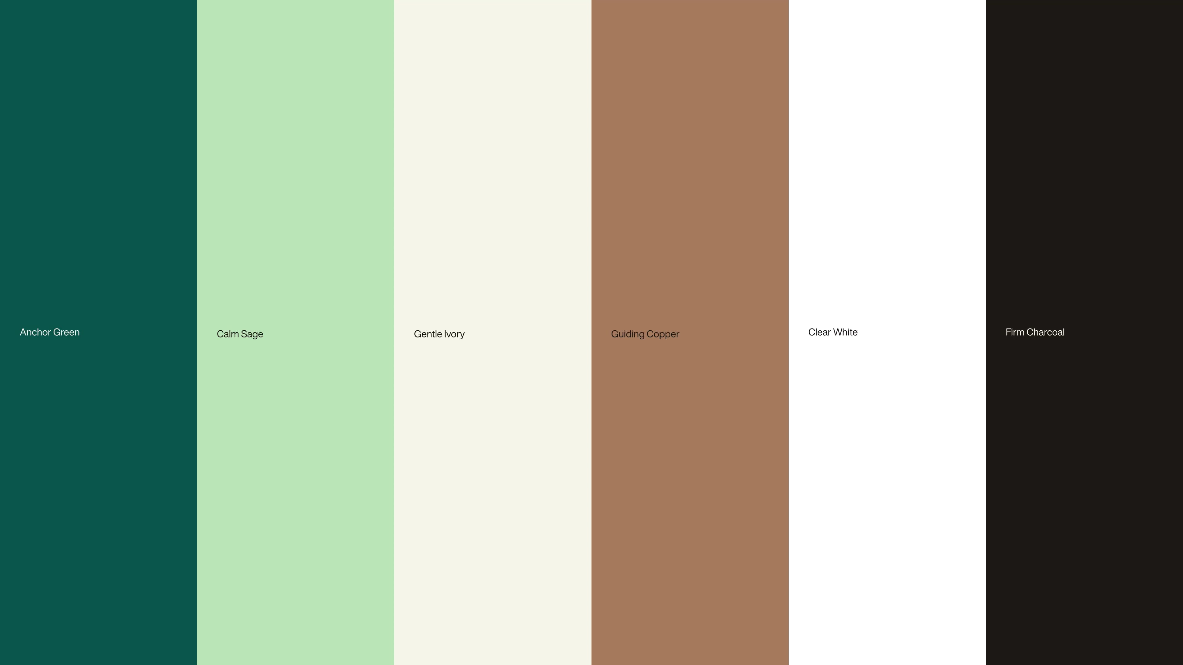 Kleurenpalet van de Younify-huisstijl met donkergroen, zachtgroen, ivoor, koper, wit en antraciet.