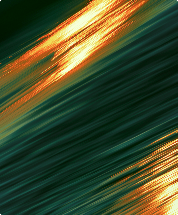 Gallery Single Image