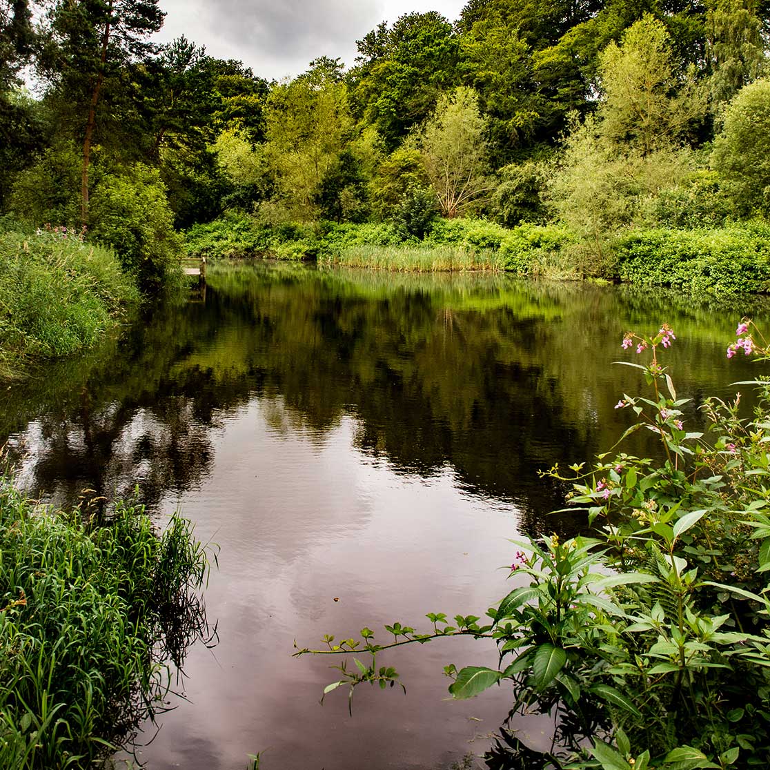 National Trust - Quarry Bank