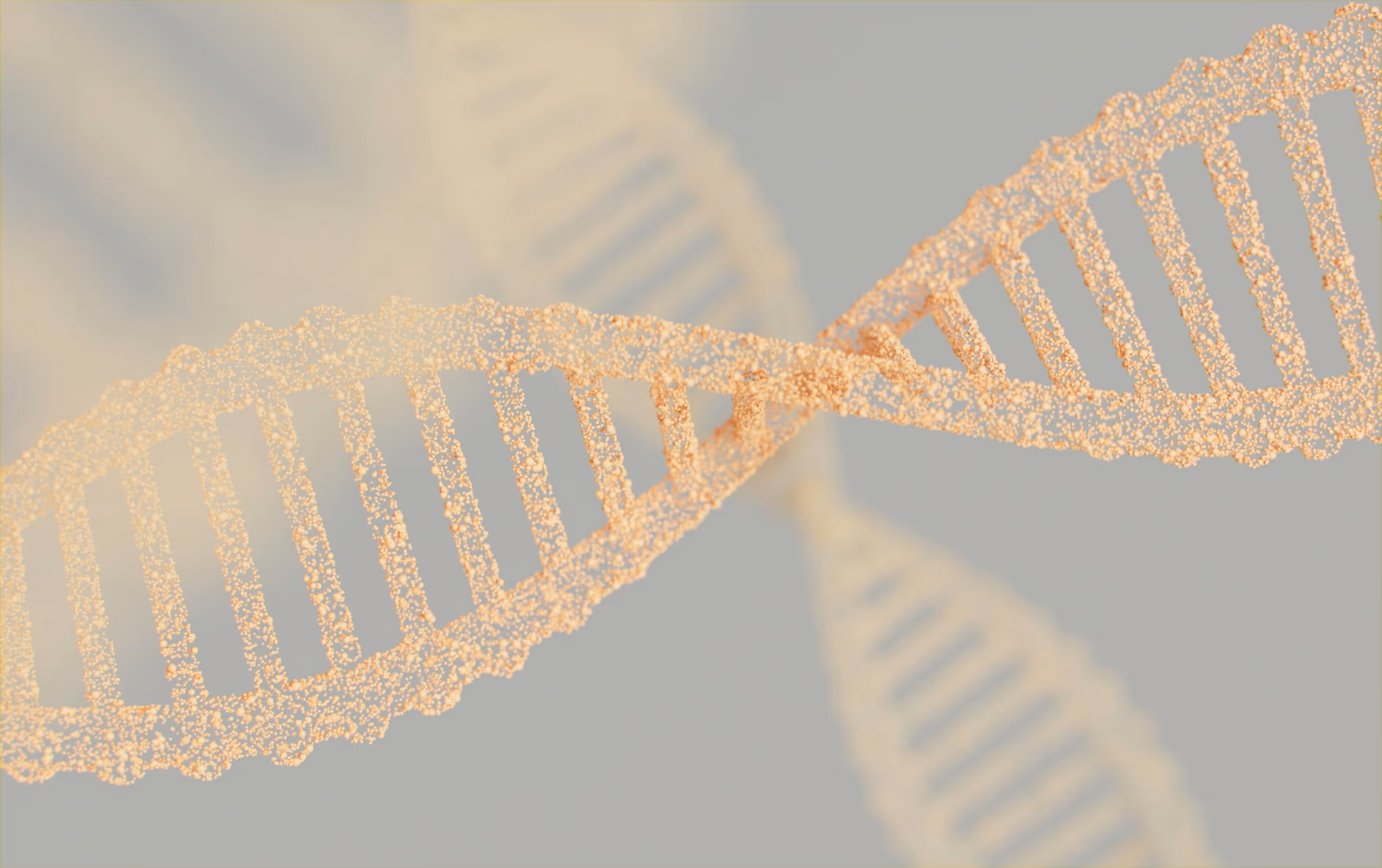 Représentation stylisée de deux hélices d'ADN composées de particules dorées flottant sur un fond gris flou.