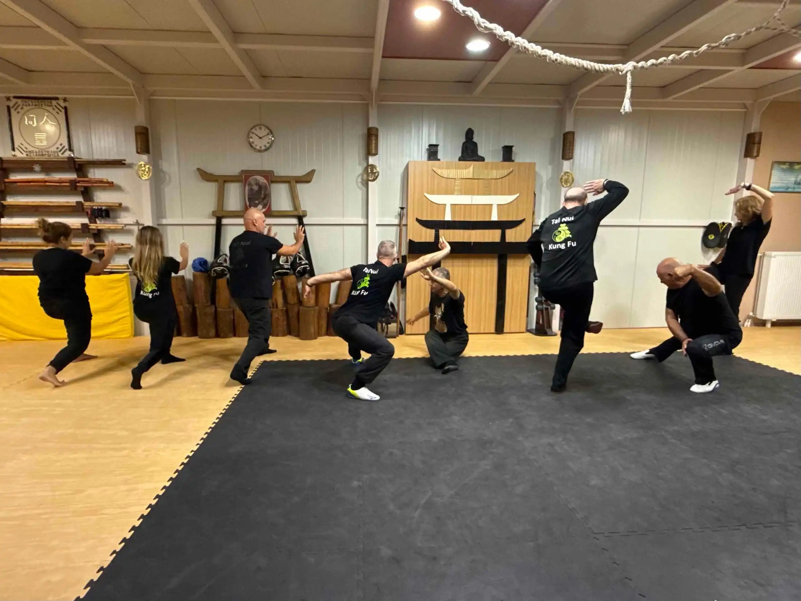 Φιλοσοφική Ένωση "Το Δέντρο της Ζωής" στην Βάρη πολεμική τέχνη στάσεις Ζώων.