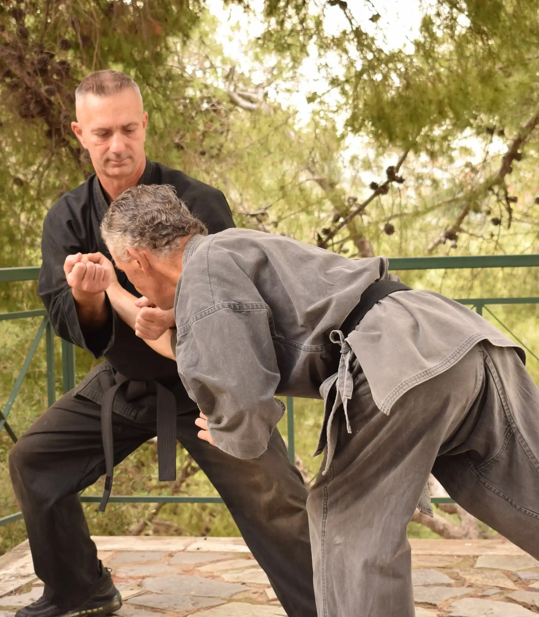 Μάθημα Tai Nui Kung Fu για άνδρες και γυναίκες: επίδειξη τεχνικής αυτοάμυνας με πτώση και έλεγχο