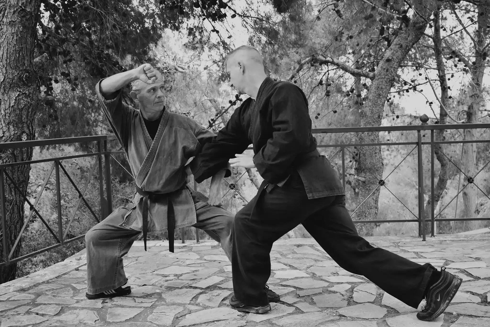 Ζεύγος μαθητών Tai Nui Kung Fu σε στάση επίθεσης-άμυνας κατά τη διάρκεια προπόνησης πολεμικών τεχνών