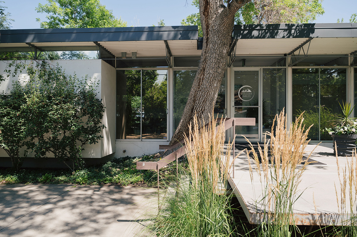 Modern building entrance with large windows, a tree growing beside a ramp, and tall ornamental grasses in front.