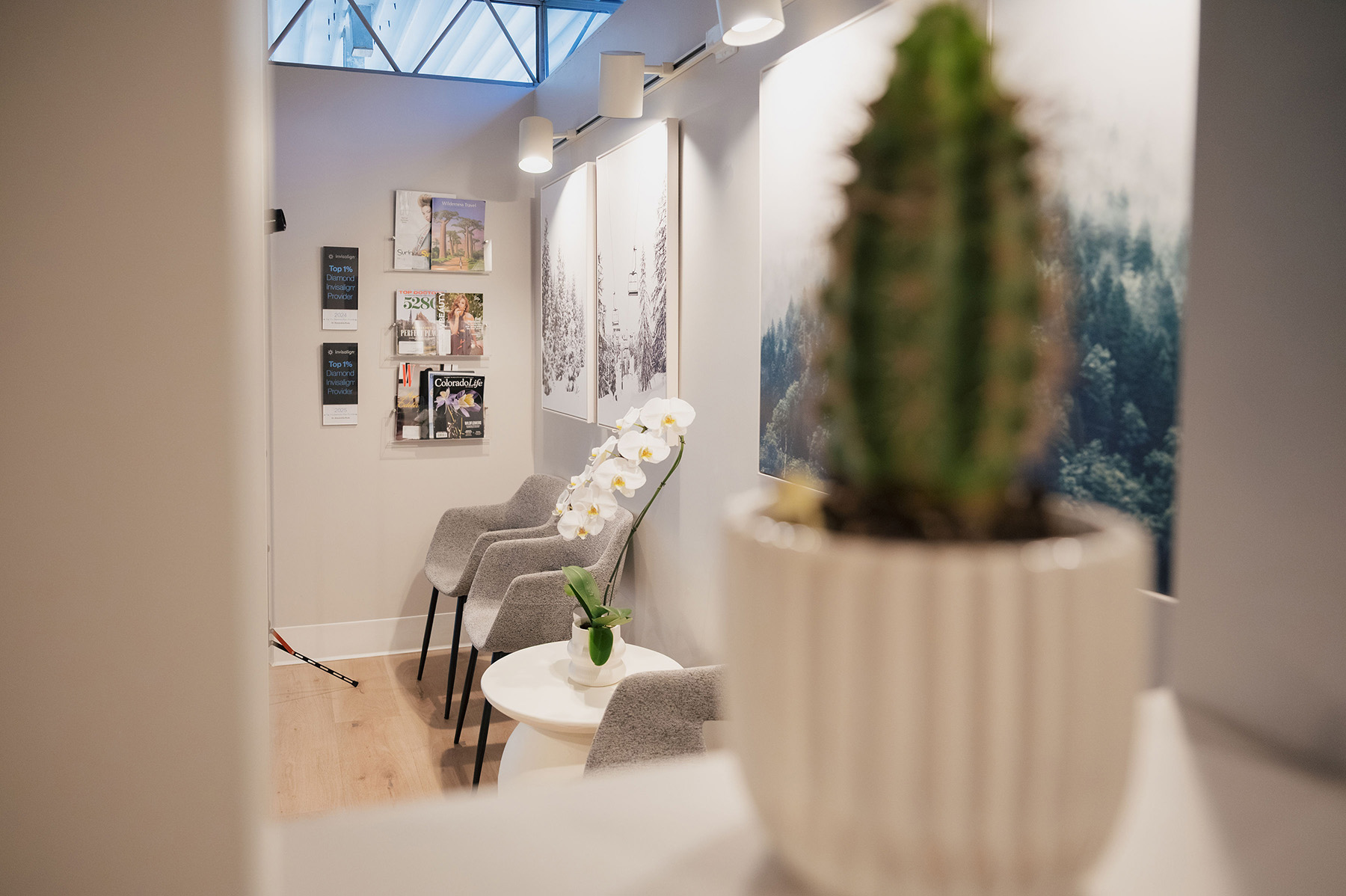 Modern waiting room with three gray chairs, white round table holding a white orchid plant, wall art, magazine rack, and a potted cactus in the foreground.