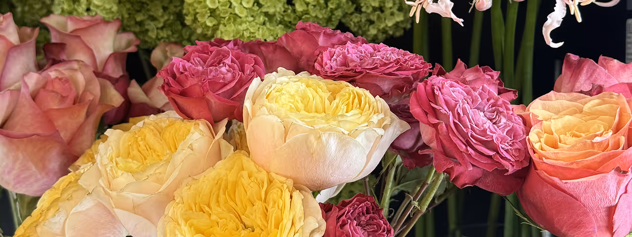 Close-up of a colorful floral arrangement featuring yellow, pink, and red roses, green hydrangeas, and light pink nerine lilies.