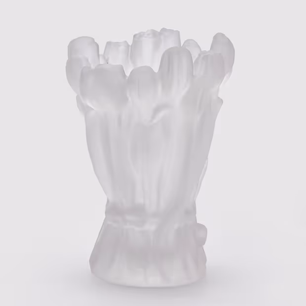 The jelly fish vase on a white background