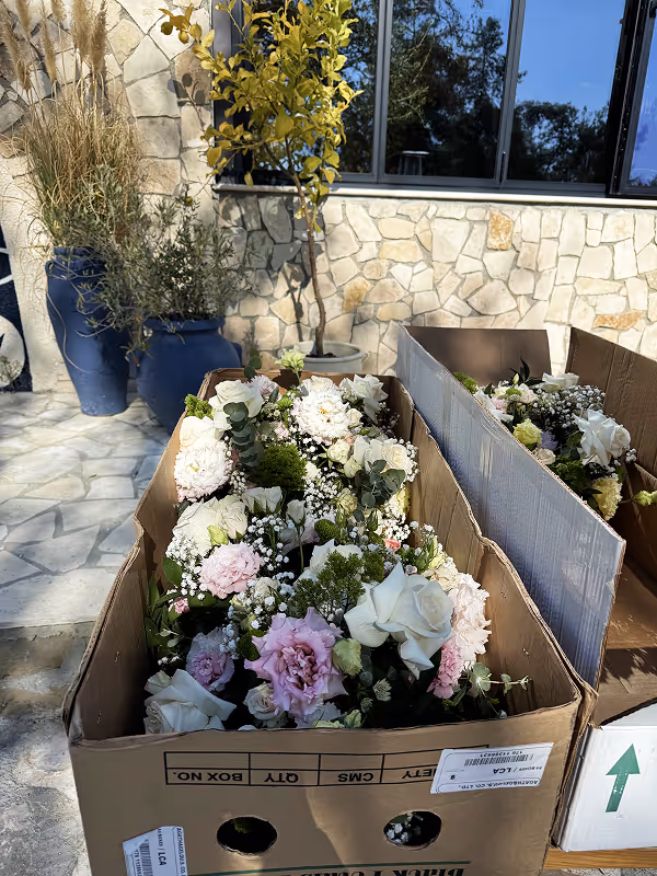 Cardboard boxes filled with assorted fresh flowers placed on a patio with potted plants and a stone wall in the background.
