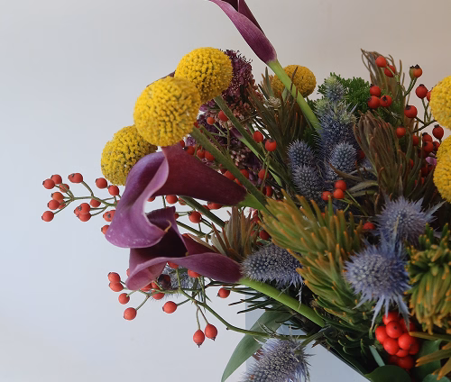 Bouquet with yellow billy balls, purple calla lilies, red berries, and blue thistle flowers.