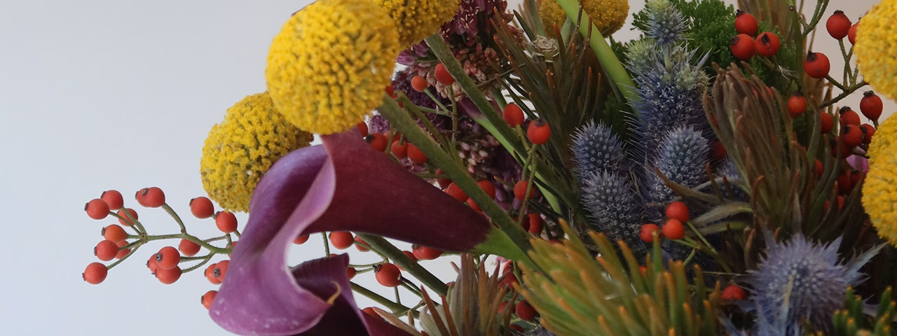 Bouquet with yellow billy balls, purple calla lilies, red berries, and blue thistle flowers.