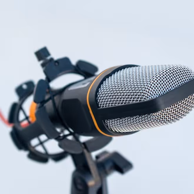 Close-up of a professional studio condenser microphone with shock mount and pop filter on a stand.