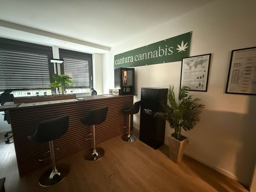 Moderne Empfangstheke mit Barhockern, Pflanze, Tresor und ’cantura cannabis’ Banner an der Wand.