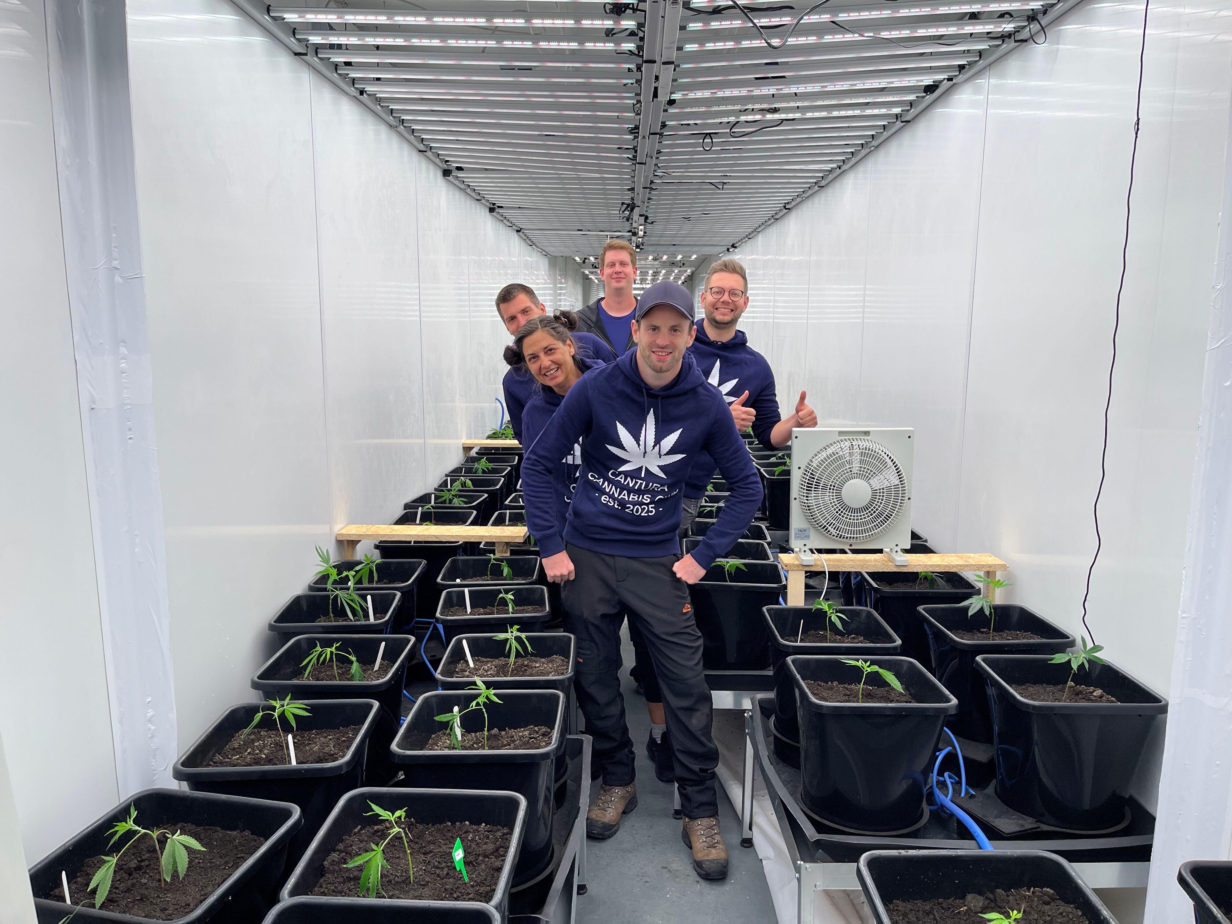 Fünf Menschen in blauem Cannabis-Hoodie in einem Raum mit Cannabis-Setzlingen und LED-Beleuchtung.