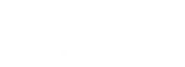 Iguana Agencia Digital - Logo blanco