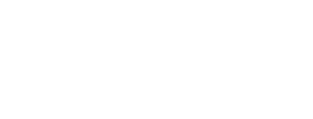 Australasia Top Wedding Photographers Sony