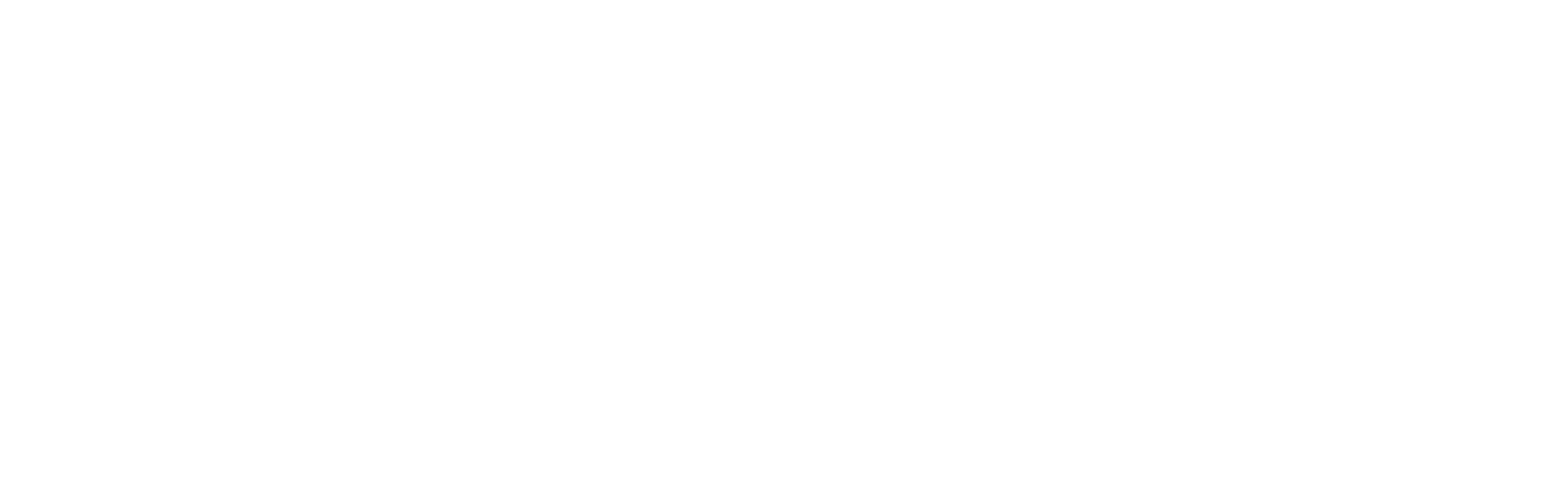 IWP International Wedding Photographer