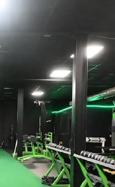 Fast Twitch Performance and Recovery