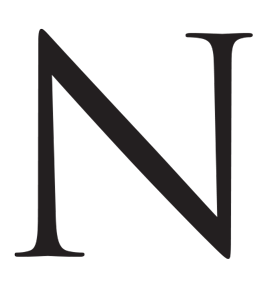 MINA Luxury Concierge elegant black serif letter N typography