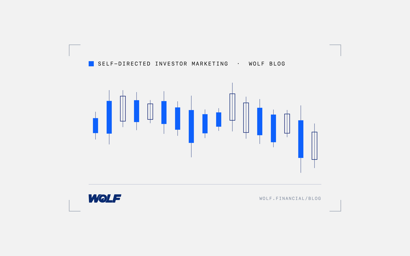 Marketing to Self-Directed Investors vs Advised Investors: Key Differences