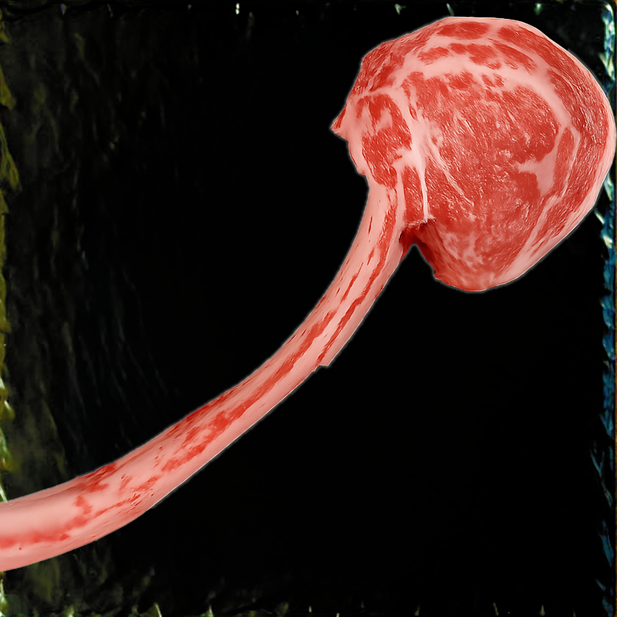 image of plated gourmet dish (for a fine dining restaurant)