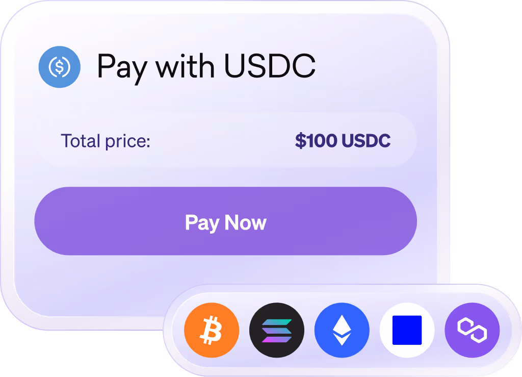 Purple payment interface showing 'Pay with USDC' with total price $100 USDC and a purple Pay Now button, plus icons of Bitcoin, Solana, Ethereum, USD Coin, and Polygon.