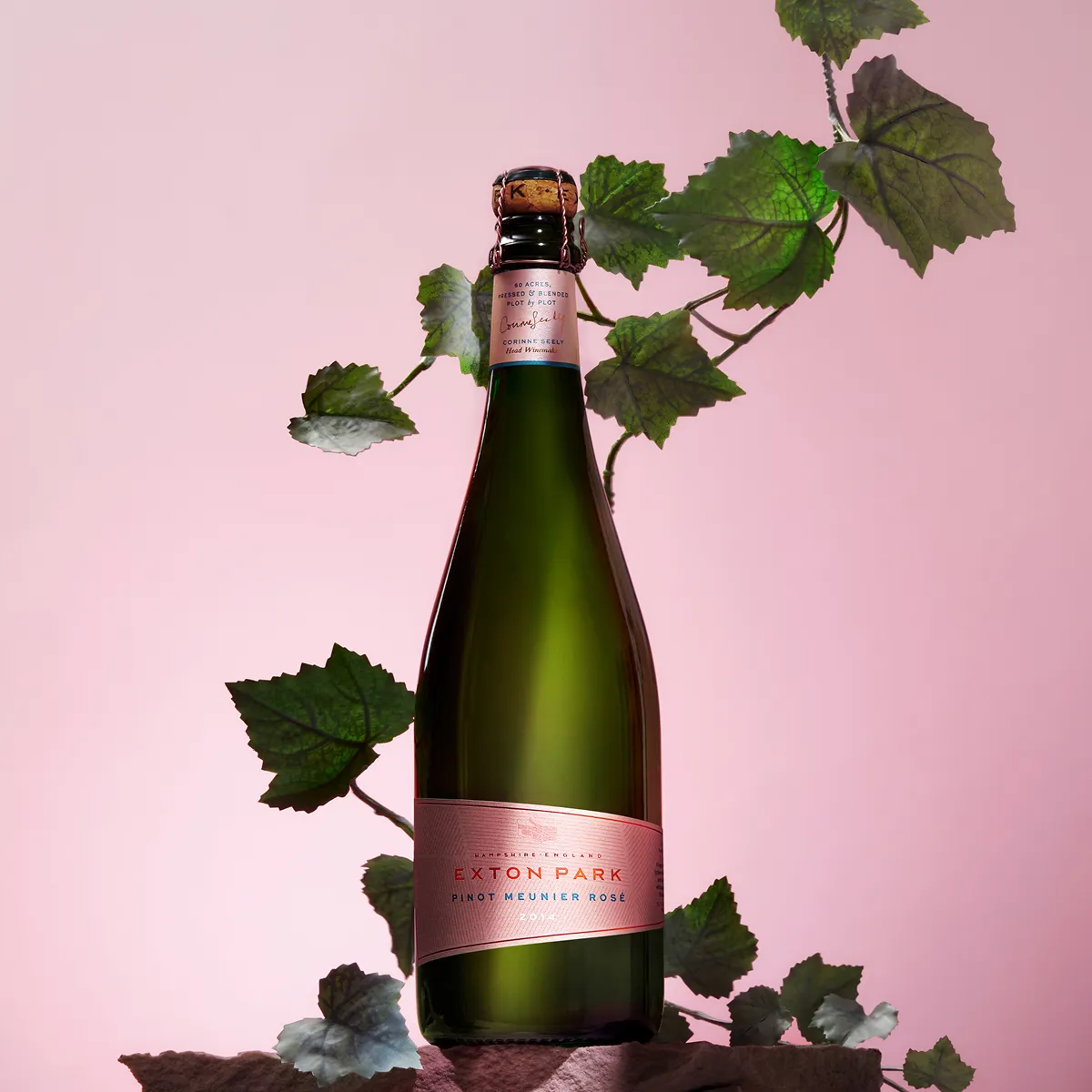 A bottle of Exton Park on a pink background with some leaves