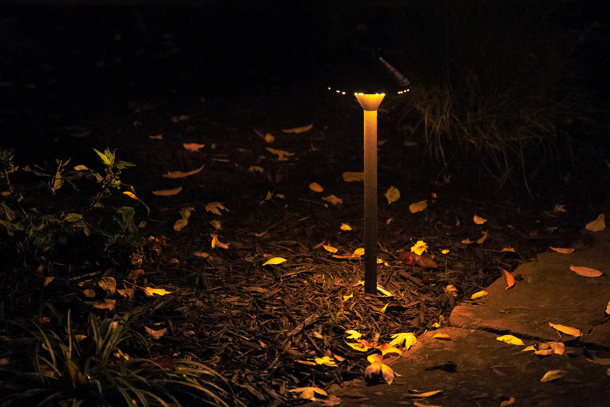 Landscape lighting