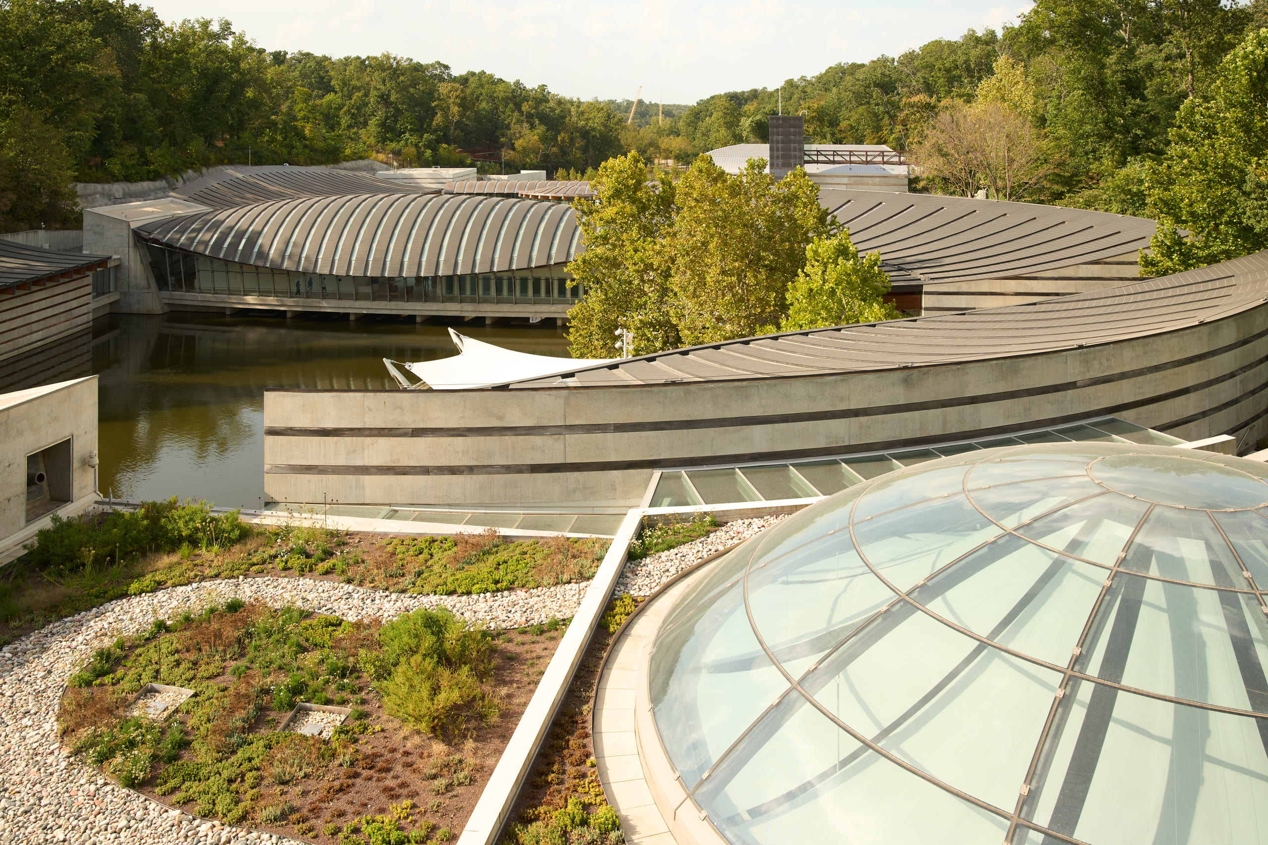 Curved pavilion roofs and a glass dome above the pond at Crystal Bridges Museum of American Art, architectural photography by Omar Mohammad Studio
