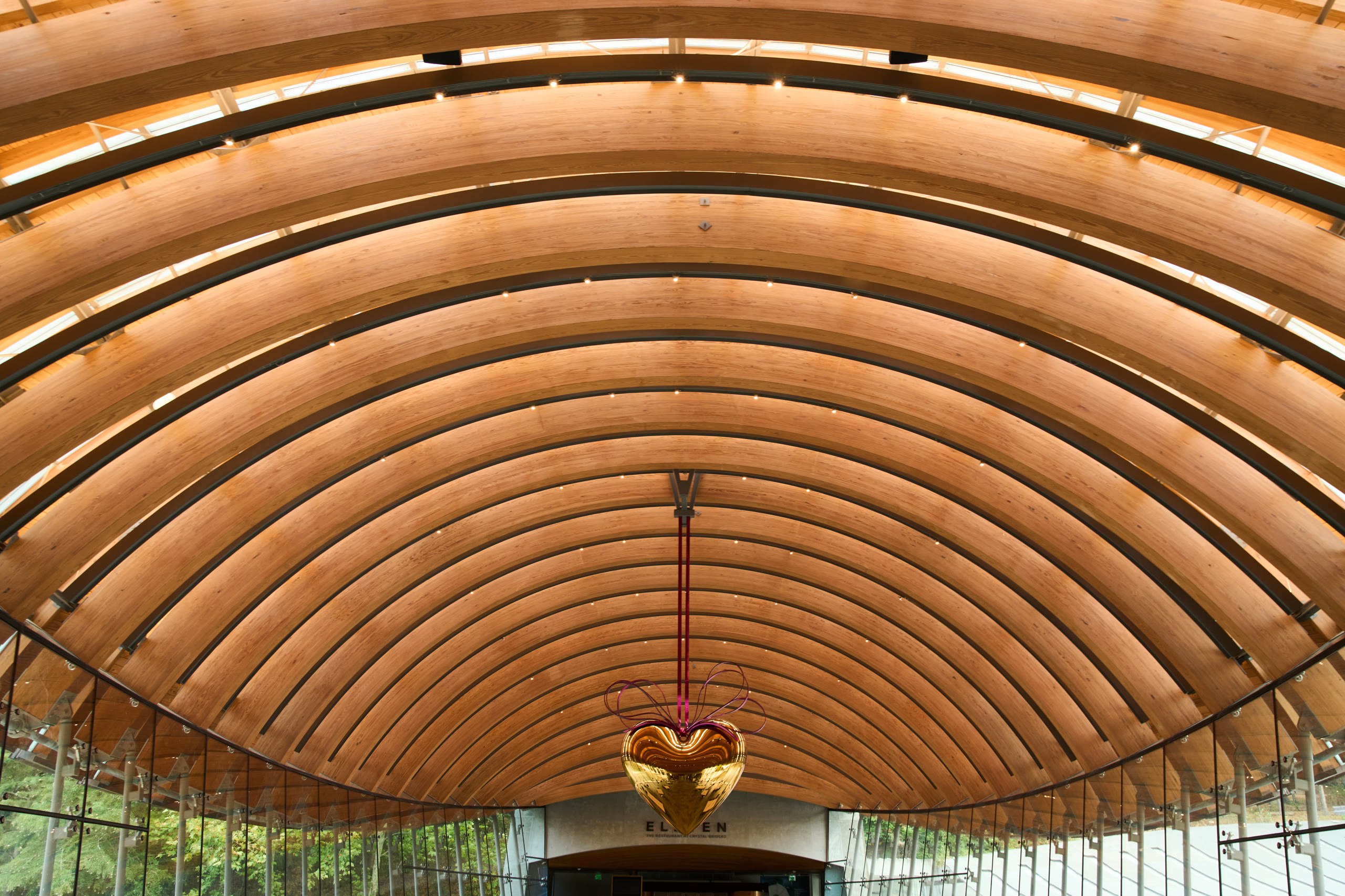 Laminated timber ribs arching over a gallery at Crystal Bridges Museum of American Art, architectural photography by Omar Mohammad Studio