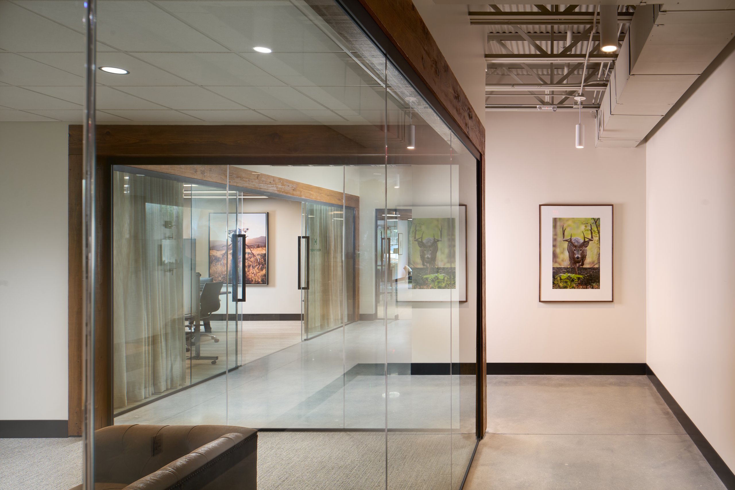 Glass-walled corridor with timber columns at the Moultrie office