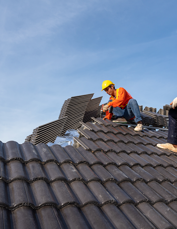 Project Gallery Image