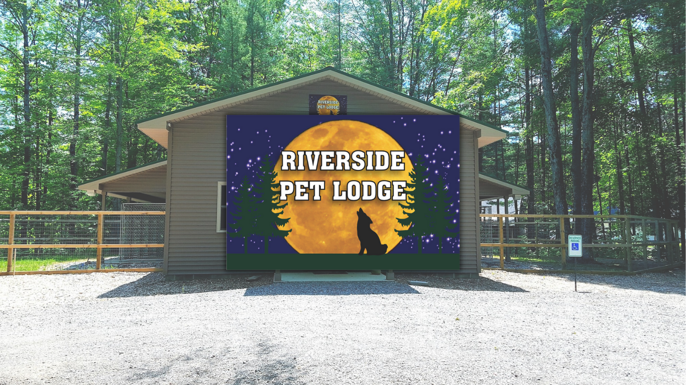 Riverside Pet Lodge: Redefining Local Trust with a User-Friendly Website and Authentic Social Storytelling.
