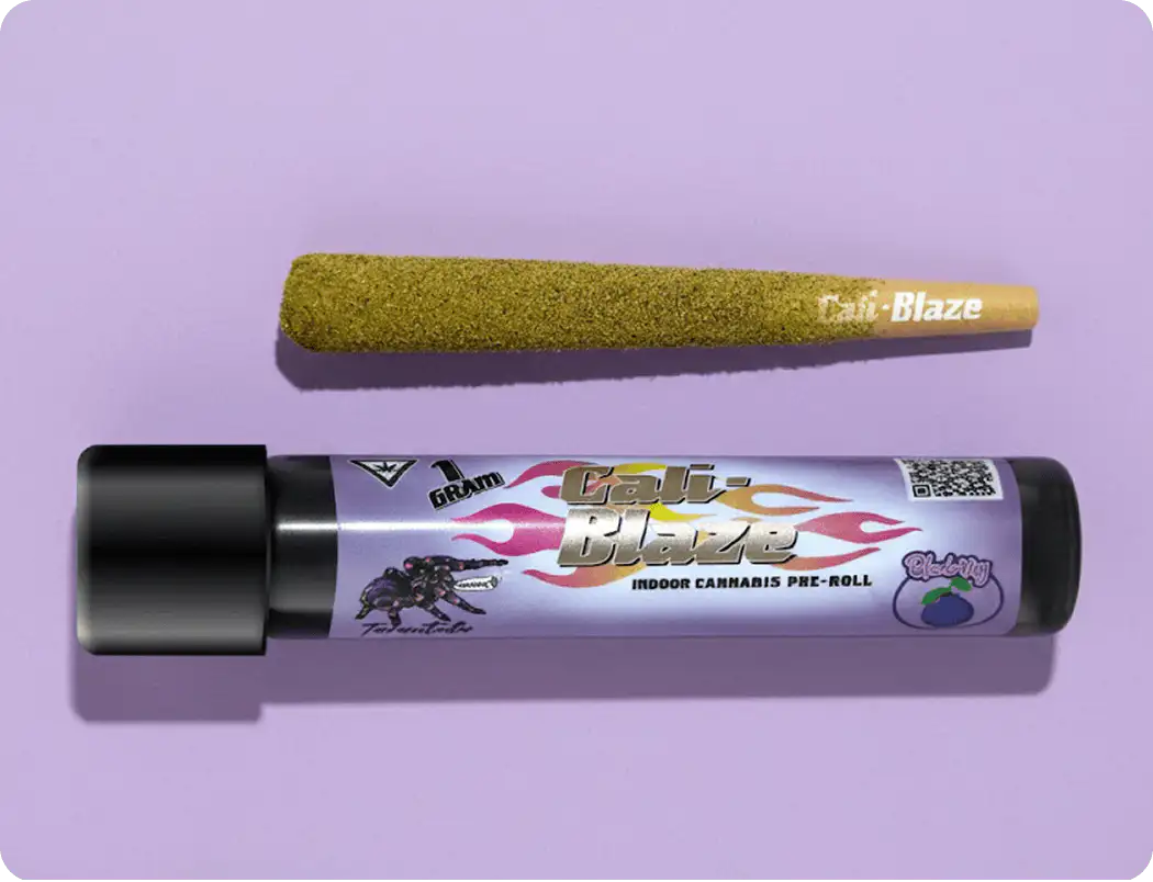 Cali Blaze indoor cannabis pre-roll in a black and purple tube with a flaming logo next to a rolled cannabis joint covered in kief.