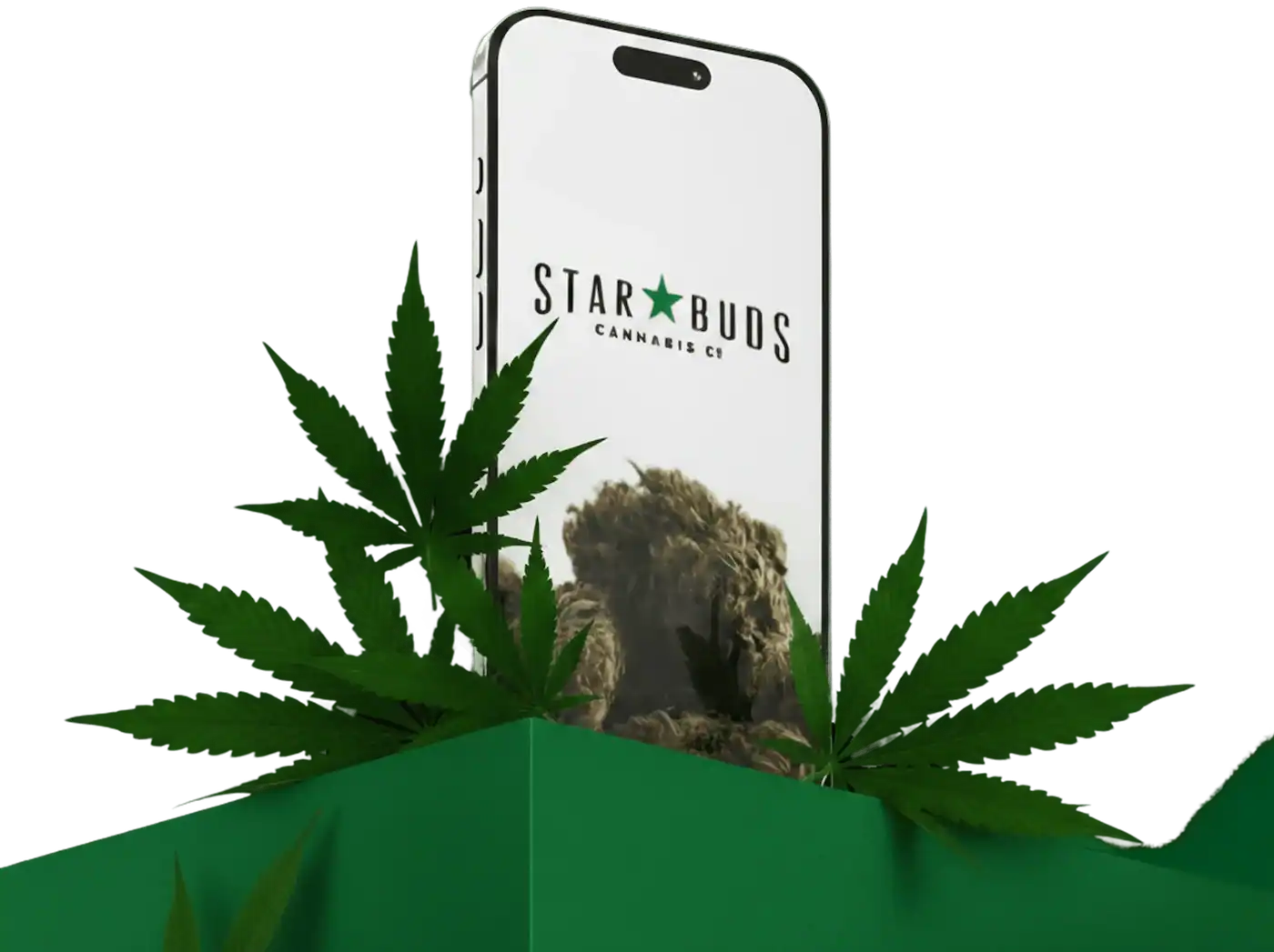 Star Buds Loyalty App - Earn rewards on every purchase
