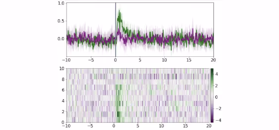 Figure of research data, showing the molecular alterations from substance use in a subject with SUD