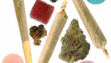 Photo of marijuana flower, joints, gummies, and resin on a white background