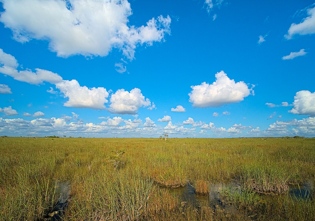 The Everglades reveal the wild, untamed heart of South Florida