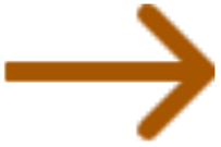 Next slide button